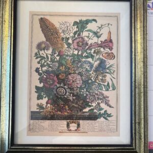Vintage Antique c 1730 ROBERT FURBER COLLECTION “AUGUST” Framed 8”x 10”