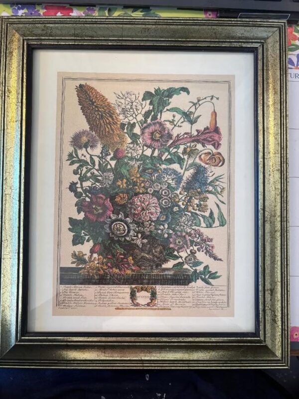 Vintage Antique c 1730 ROBERT FURBER COLLECTION “AUGUST” Framed 8”x 10”