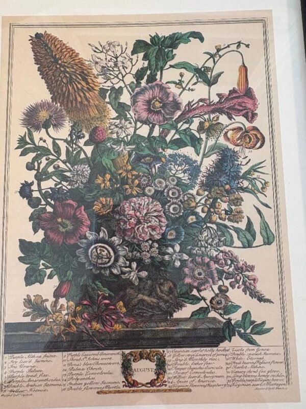 Vintage Antique c 1730 ROBERT FURBER COLLECTION “AUGUST” Framed 8”x 10” - Image 3