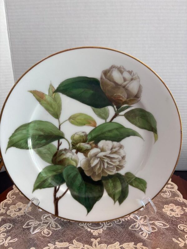 Antique CFH GDM Charles F Haviland Limoges Flower Plate c. 1900