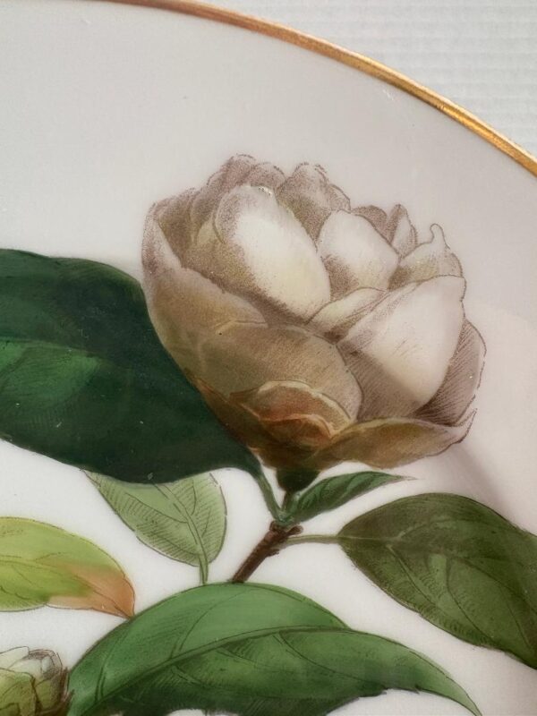 Antique CFH GDM Charles F Haviland Limoges Flower Plate c. 1900 - Image 2