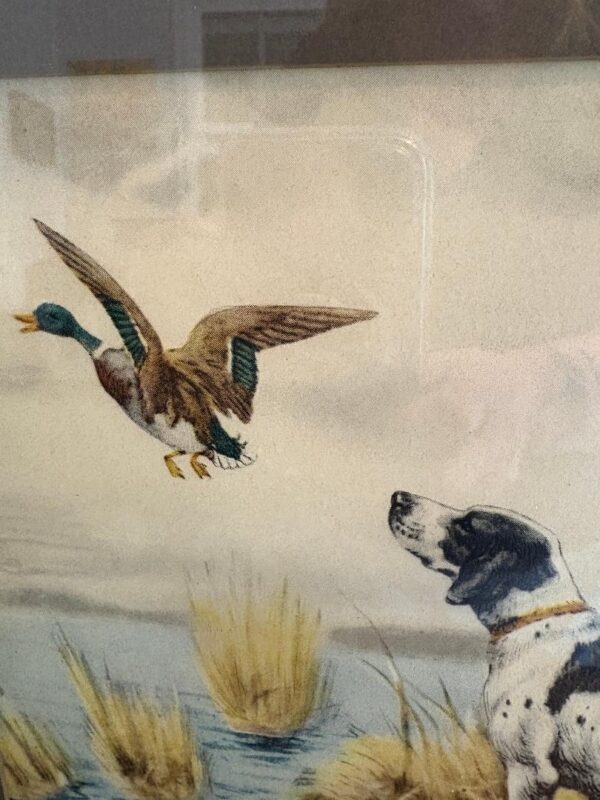 Vintage Paul Wood Signed & Framed Pointer and Mallard Etching "Canard" - Image 2