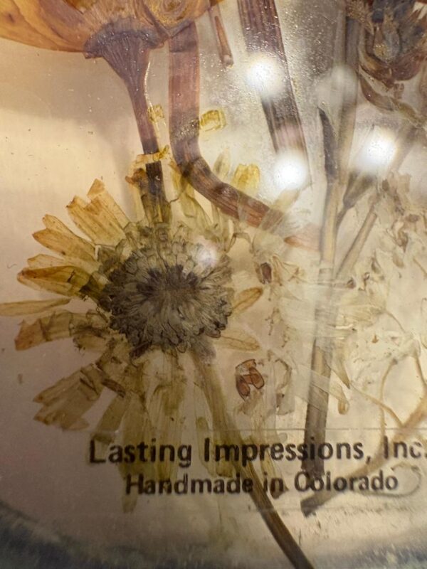 Vintage Lasting Impressions Real Pressed Flowers in Glass w/Oval Metal Frame - Image 3