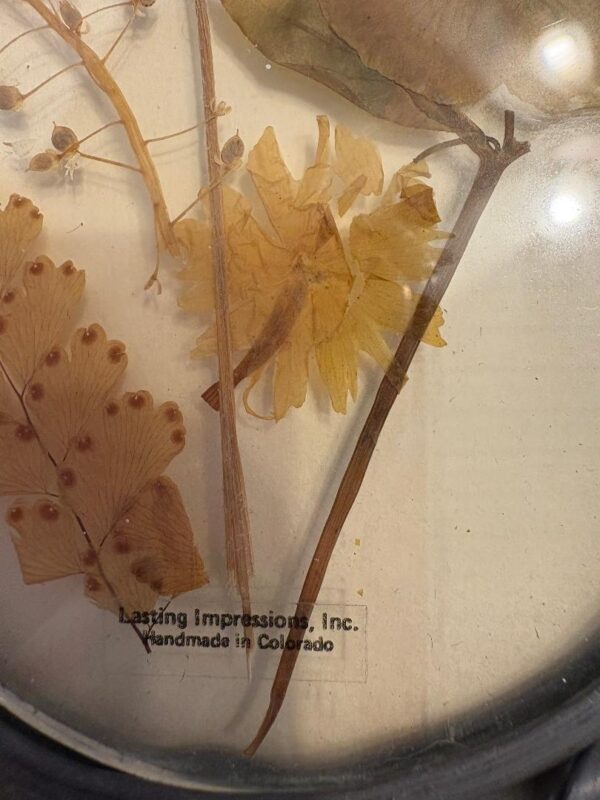 Vintage Lasting Impressions Real Pressed Flowers in Glass w/Oval Metal Frame - Image 2